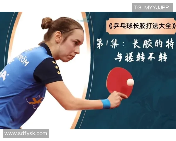 成都乒乓球队配合表现的数据分析与战术探讨 成都乒乓球队配合表现的数据分析与战术探讨