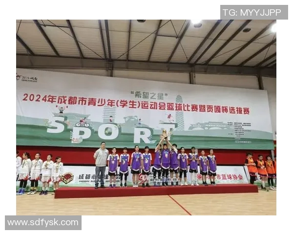成都篮球队意识探讨与发展前景分析的深度研究