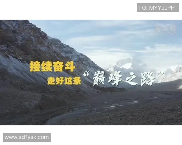 上海排球队逆袭之路揭秘世界锦标赛背后的奋斗与荣耀 上海排球队逆袭之路揭秘世界锦标赛背后的奋斗与荣耀