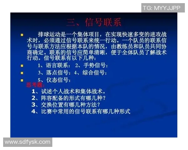 独家深度解析上海排球队不同速度对比及其战术影响分析