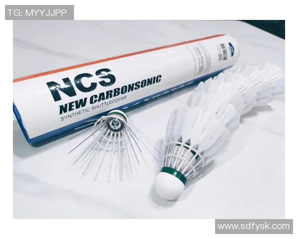 羽毛球的魅力与速度揭秘武汉羽毛球队的训练与比赛之道