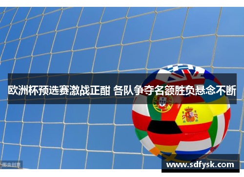 欧洲杯预选赛激战正酣 各队争夺名额胜负悬念不断