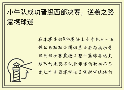 小牛队成功晋级西部决赛，逆袭之路震撼球迷