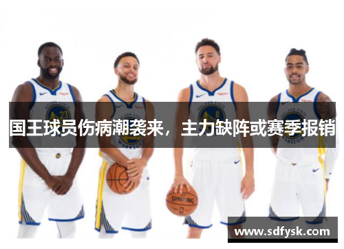 国王球员伤病潮袭来，主力缺阵或赛季报销